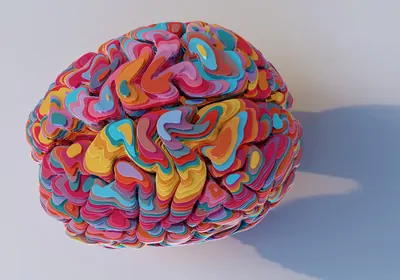 A model of a brain made of many stacked, thin layers of brightly-colored material.